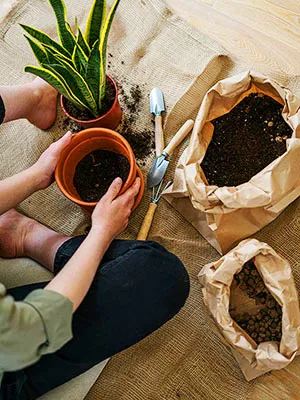 Botany and Gardening