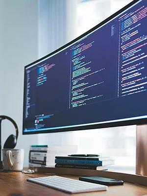 Software Development